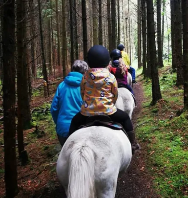 Giddy up www.hillyardhouse.com