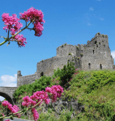 King johns castle www.hillyardhouse.com