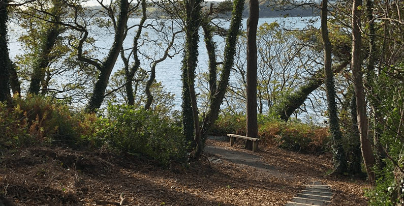 Wander in mature woodland www.hillyardhouse.com