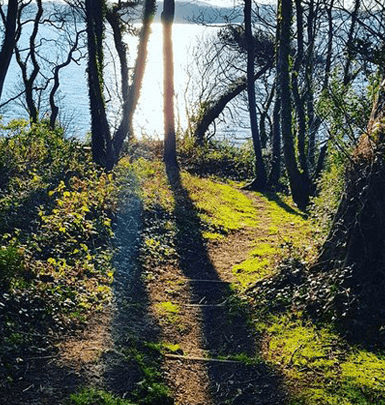 Wander in mature woodland www.hillyardhouse.com