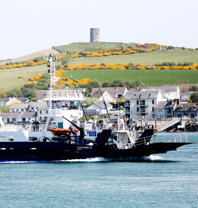 Wander in mature woodland www.hillyardhouse.com