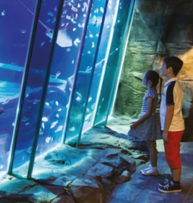 Bbfaa www.hillyardhouse.com