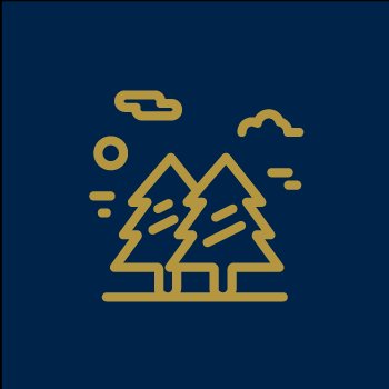 Enjoy castlewellan forest park www.hillyardhouse.com